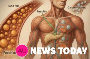 How the body really works: the truth about carbohydrates, insulin, fats, keto metabolism, cellular energy ATP