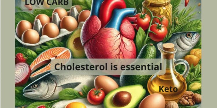 Healthy foods promoting low-carb diet. Cholesterol is Essential – Low Carb, Keto Diet by Annika Urm